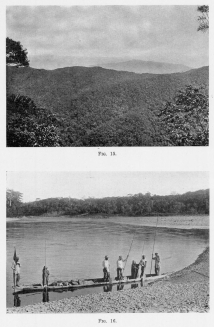 Fig. 15&mdash;Topography and vegetation from the Tocate pass,
7,100 feet (2,164 m.), between Rosalina and Pongo de Mainique. See
Fig. 53a. This is in the zone of maximum rainfall. The cumulo-nimbus clouds
are typical and change to nimbus in the early afternoon.