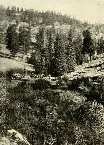 Character of the
Mountains and High Plateau Regions of the Basin of the Colorado.