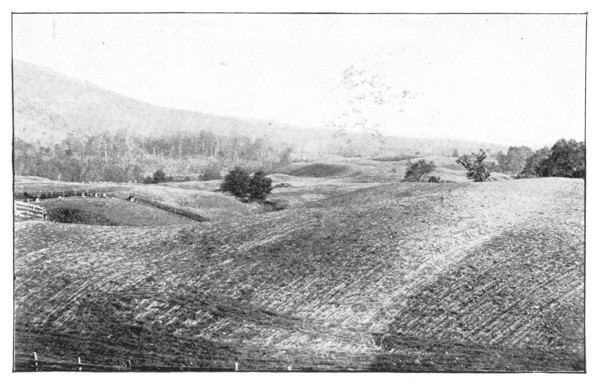 Fig. 33. A view over the hummocky surface of a part of the moraine of the great
American ice sheet in Central New York.