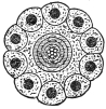 Fig. 34.&mdash;The Main Cable, 1865-’66.