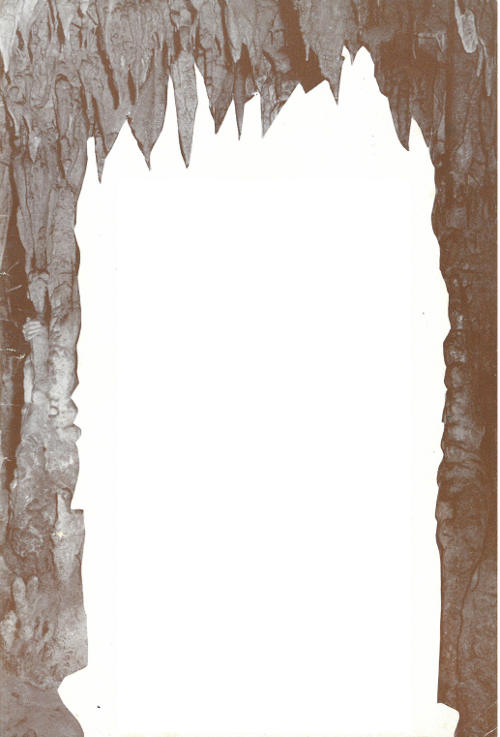 Florida Caverns