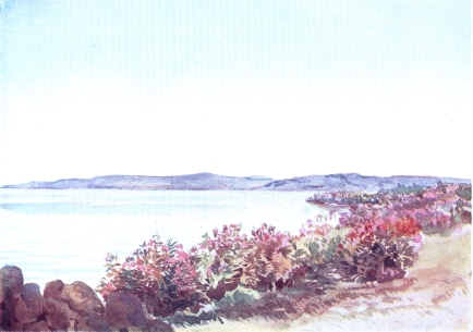 GALILEE, LOOKING FROM NEAR THE MOUTH OF THE JORDAN
TOWARDS THE “MOUNT OF BEATITUDES” AND TABOR

Oleanders in flower skirting shore in foreground. Top of Mount Tabor
showing over nearer mountains in distance.