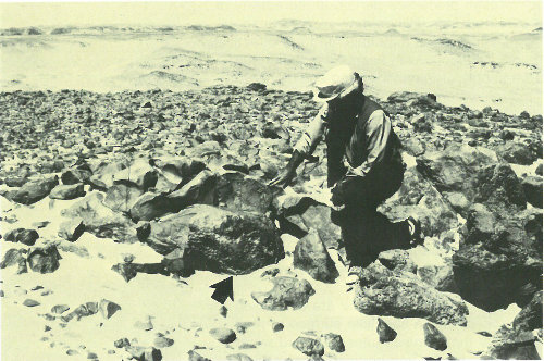 The arrow points to shiny black desert varnish on these rocks of Egypt&rsquo;s southwest desert (photograph by Carol Breed).
