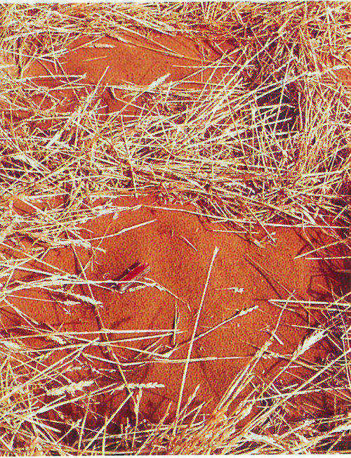 Straw grids (one of which is shown above) and vegetation irrigated by water from the Yellow River stabilize dunes in this part of China&rsquo;s Tengger Desert (shown below) and protect a nearby railroad from windblown sand.