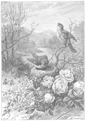 “Each little flower that opens,
Each little bird that sings.”
(Specimen of Illustrations from “Sunday Evenings with My Children”)