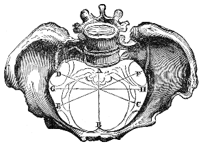 Diameters
of the Upper Strait