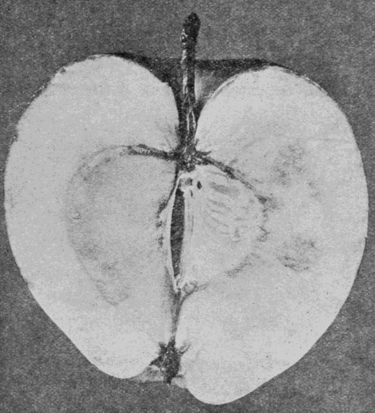 half of
an apple