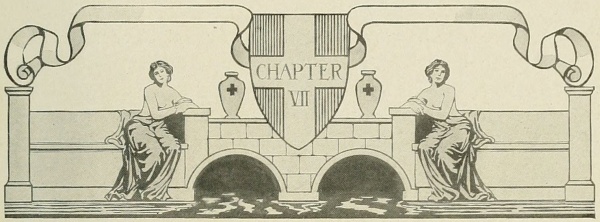 CHAPTER VII