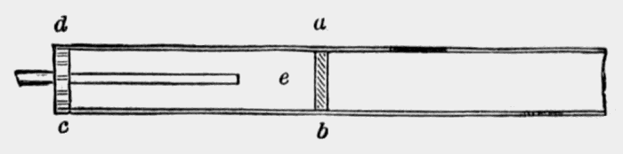 cross
section of wonderful trumpet