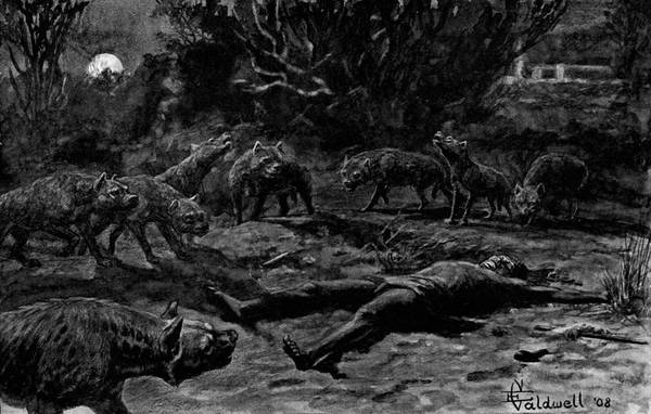 Hy�nas observing a human corpse.