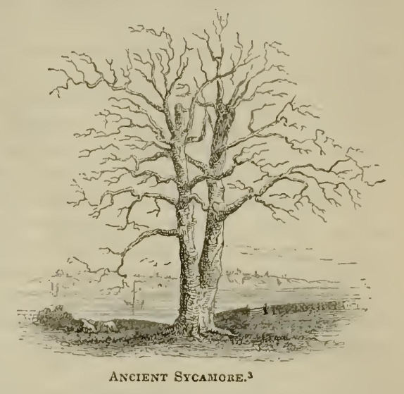 a8657 