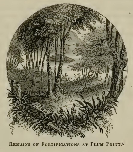 a8685 