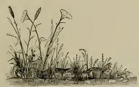a9729 