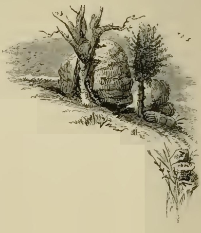 a8744 