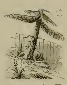 a9755 