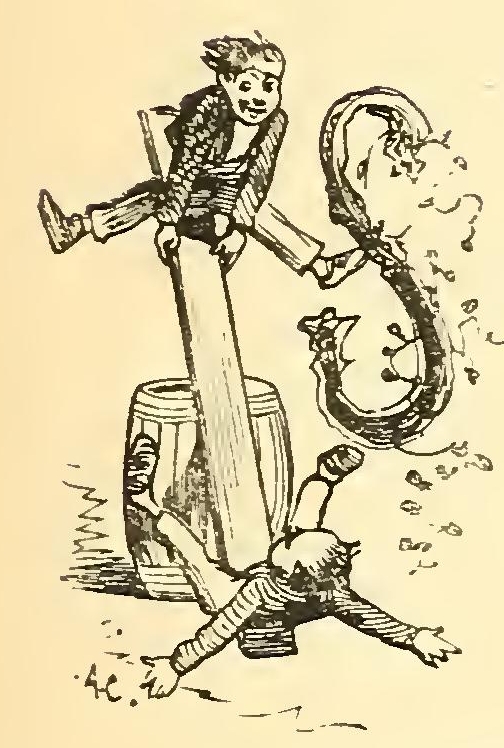 9061 