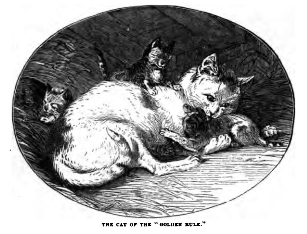 0100 