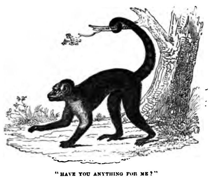 9160 