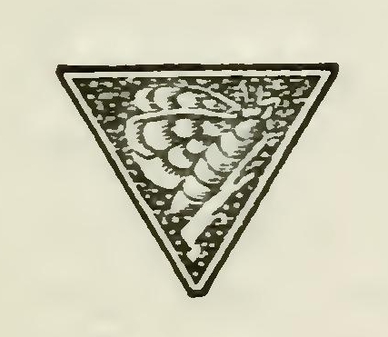 5171 