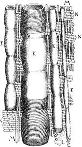 Abb. 118