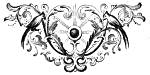 Decorative footer image