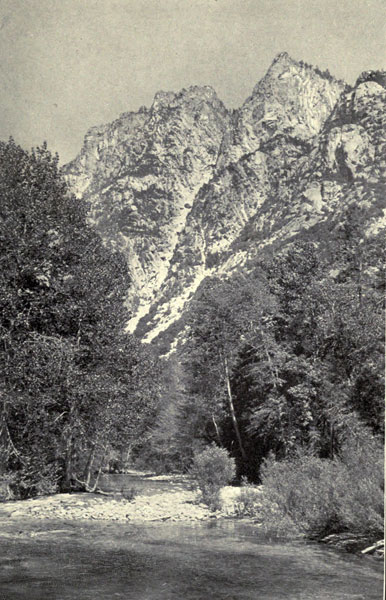 A Trout Stream in
the Sierra Nevada (King&rsquo;s River)