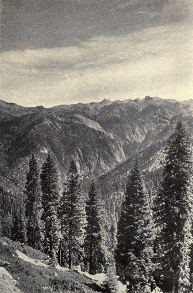 A Sierra Cañon
(King’s River Cañon from Lookout Peak)