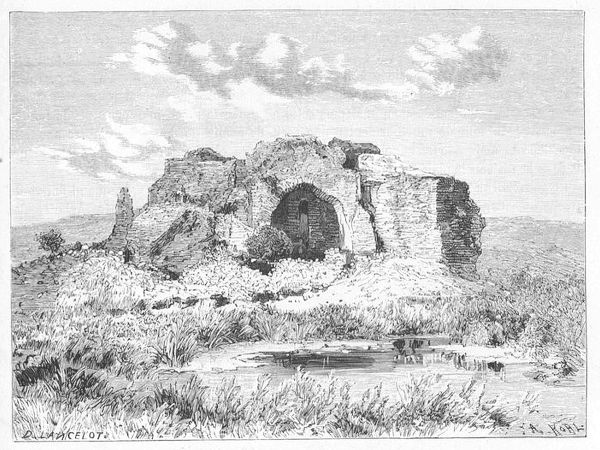[Illustration]