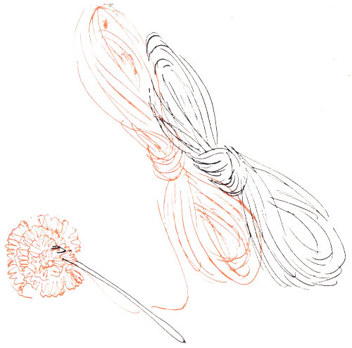 {Skeins}