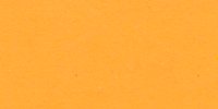 III_15_b_Capucine_Yellow