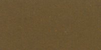III_17_m_Raw_Umber
