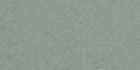 LII_35′′′′′_b_Hathi_Gray