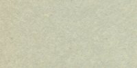 XLI_25′′′_f_Yellowish_Glaucous