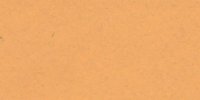 XV_15′_b_Ochraceous-Buff
