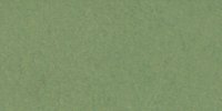 XVII_29′_k_Bice_Green