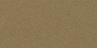 XXX_19′′_k_Light_Brownish_Olive