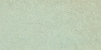 XLI_33′′′_f_Greenish_Glaucous