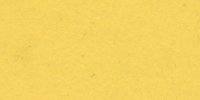 XVI_21′_b_Amber_Yellow