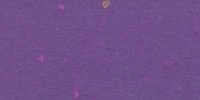 XXV_61′_i_Haematoxylin_Violet