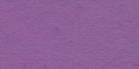 XXV_65′_i_Petunia_Violet