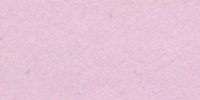 XXVI_67′_f_Pale_Rose-Purple