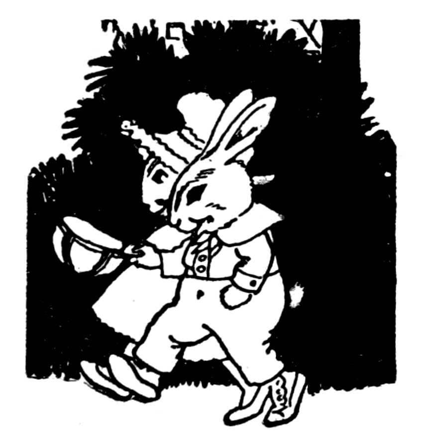 two bunnies