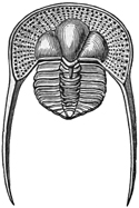 Fig. 1279.