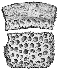 Fig. 413.