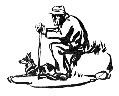 Wanderer