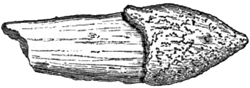 Fig. 32.
