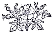 image044