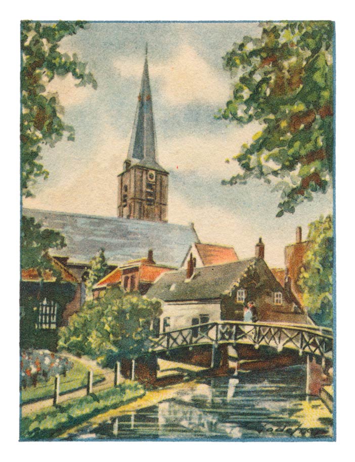 35. MAASLAND