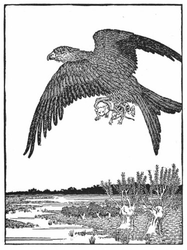 Frog, Mouse, Hawk
