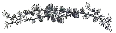 image003